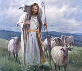 conheco minhas ovelhas evangelho comentado domingo bom pastor vocacoes pascoa chocolate presente