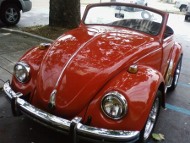 carro automovel fusca fusquinha vermelho zoologico elefante ordem franciscana frades menores irmas clarissas www.cantodapaz.com.br canto da paz